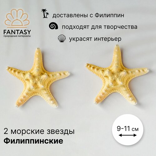 Натуральные морские звезды FANTASY Филиппинские 2 шт. 9-11 см