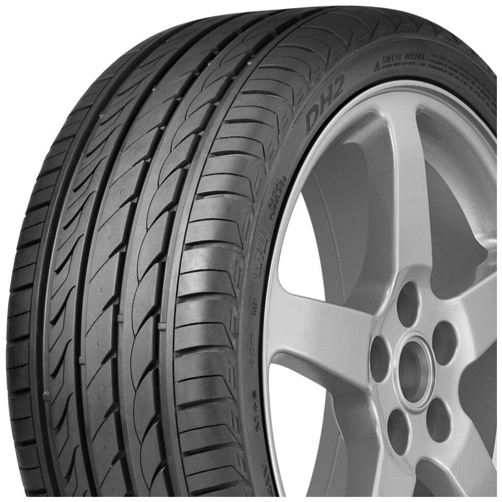 Автомобильные шины Delinte DH2 255/45 R18 99W