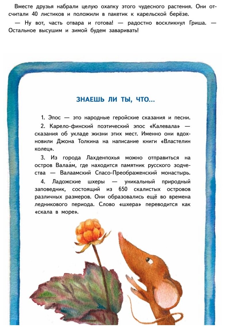 Приключения мышонка Недо на Ладоге Географические сказки - фото №6