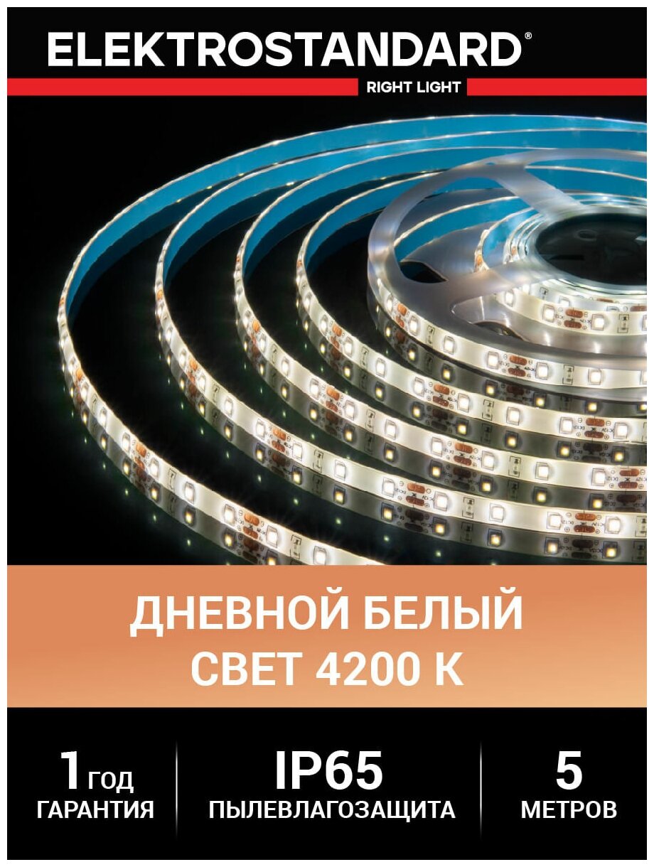 Лента светодиодная Elektrostandard 2835 12В 60 Led/м 4,8 Вт/м 4200K дневной белый свет, 5 метров, IP20