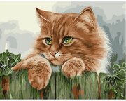 Картина по номерам Рыжая кошка 40х50 см Hobby Home