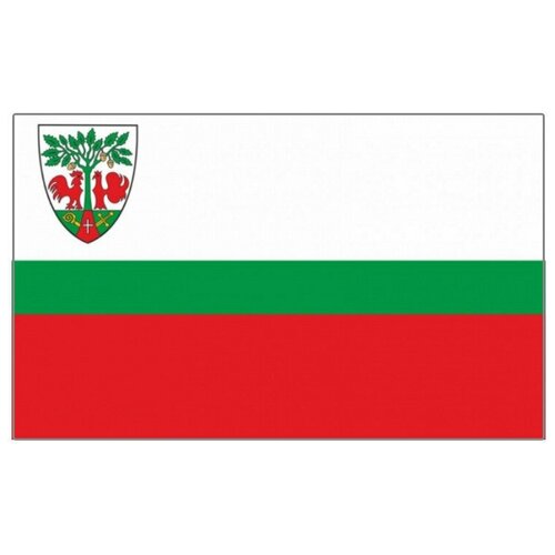 Флаг города Гурьевск (Калининградская область) 70х105 см флаг города мирный архангельская область 70х105 см