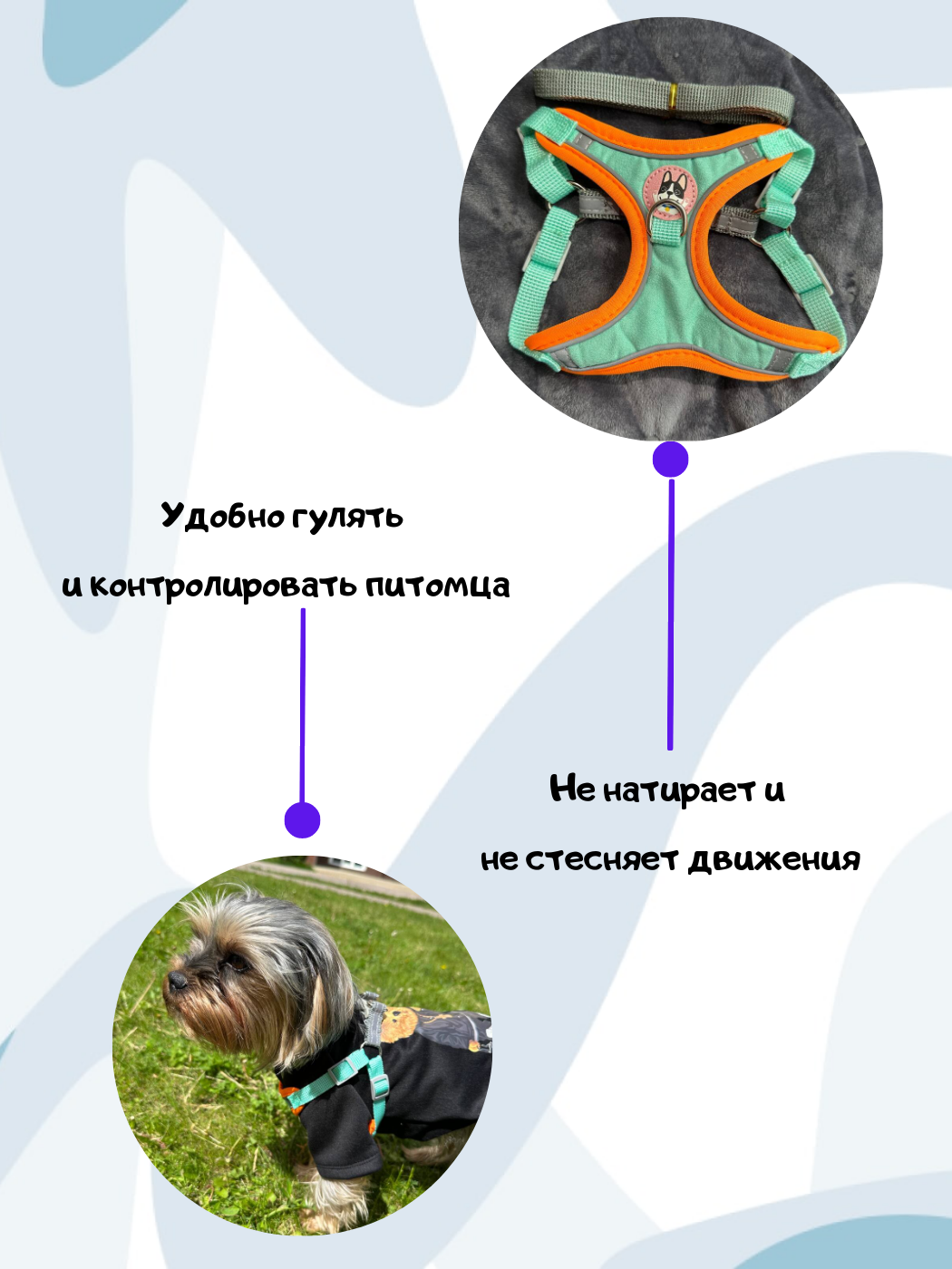 Шлейка для собак мелких и средних пород - фотография № 3