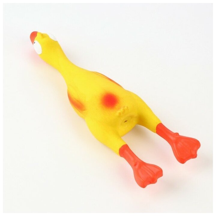 Игрушка пищащая для собак из латекса"Утка", 23 см, жёлтая/оранжевая Пижон 7883242 . - фотография № 5