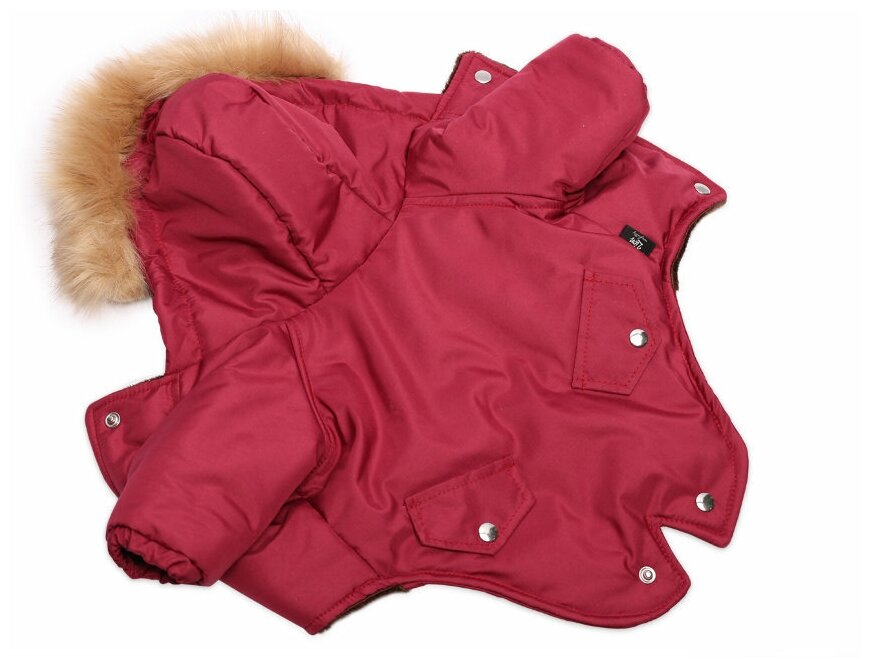 Зимняя куртка для собак Lion Winter парка (Размер ХL (спинка 32-34 см