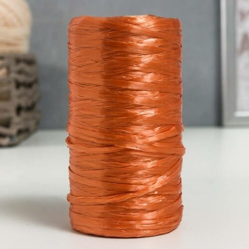 Пряжа - Для вязания мочалок, 100% полипропилен, 300м/75гр, №2-3, цвет бронзовый, 5 шт.