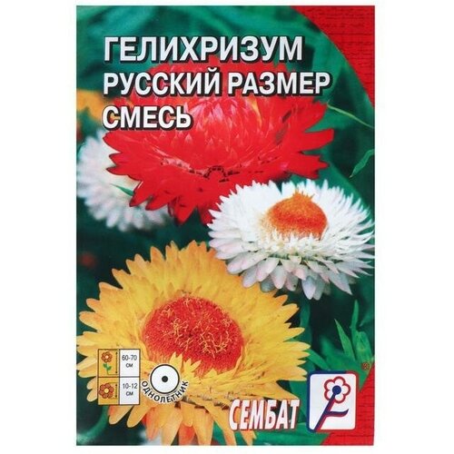 Семена цветов Гелихризум Русский размер, 0,1 г 20 упаковок