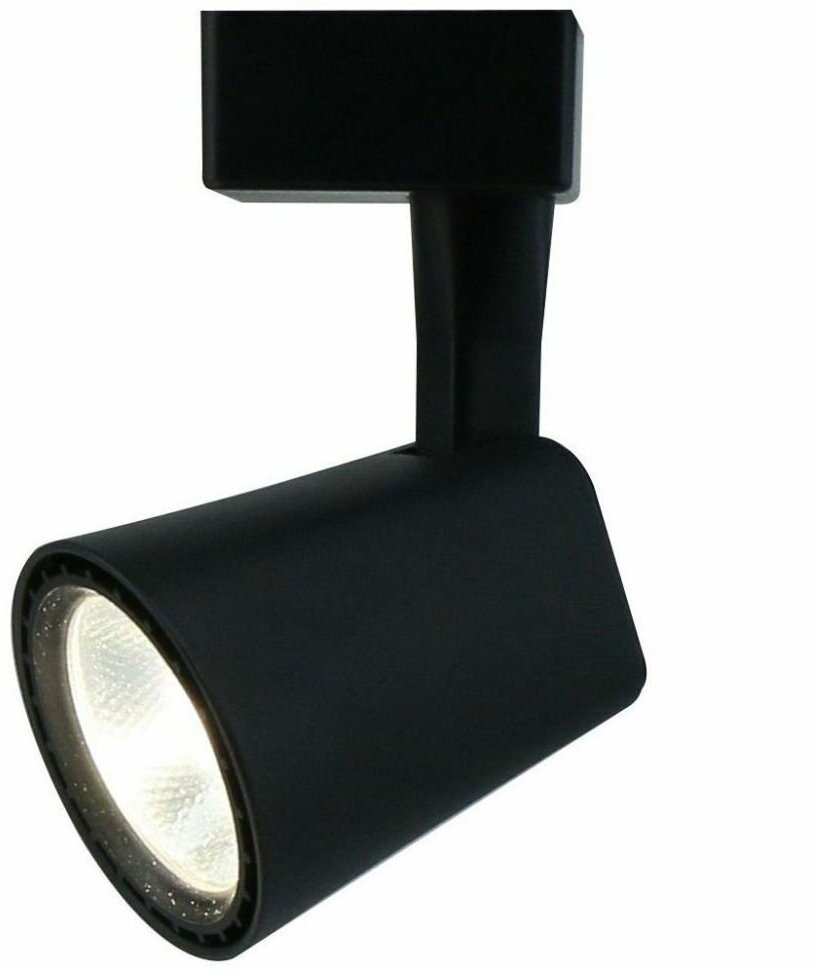 Светильник Arte Lamp A1810PL-1BK