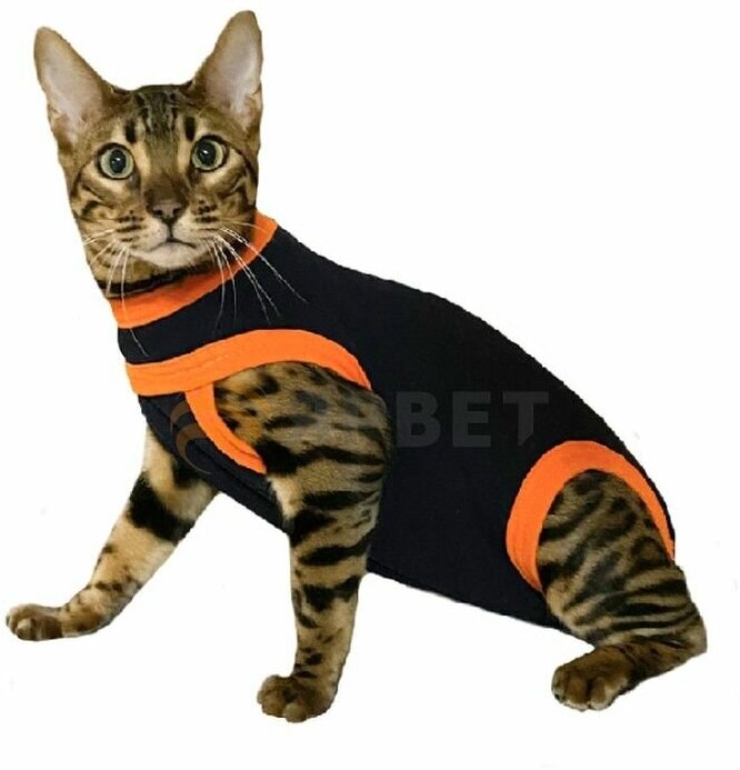 Попона для кошки послеоперационная №2 на молнии (3,5-4,5кг) — купить в ...