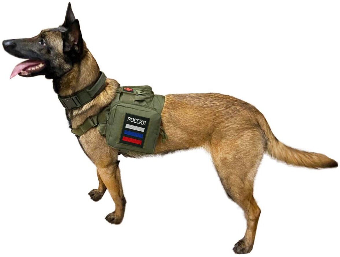 Армейский жилет-аптечка для собаки (олива) - фотография № 9