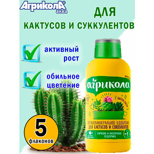 Агрикола аква для кактусов и суккулентов 250 мл, 5 флаконов агрикола аква для кактусов и суккулентов 250 мл 2 флакона