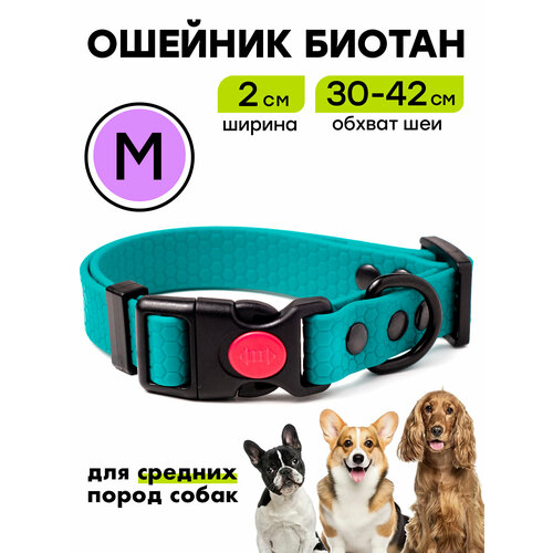 Ошейник из биотана 30-42 см (M), 20 мм, Woofy "Iron" водостойкий, для средних собак, бирюзовый