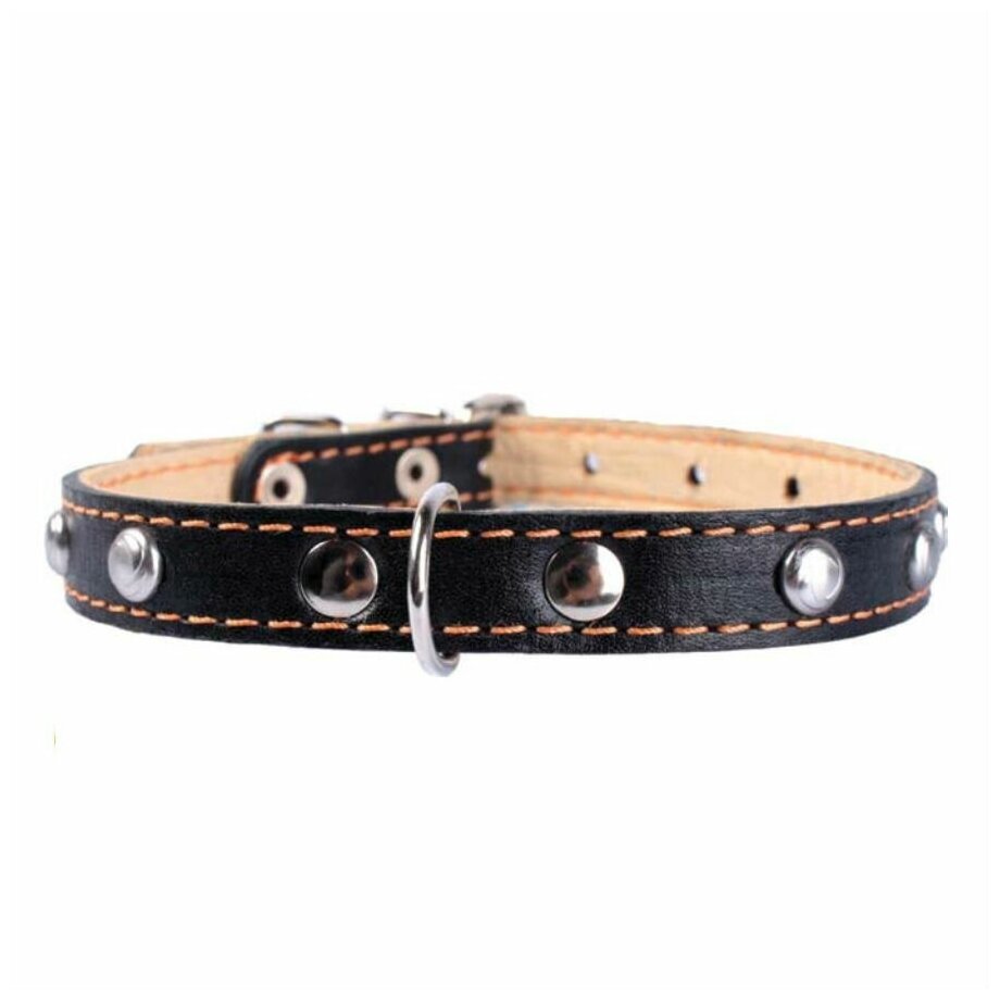 Collar ошейник кожаный двойной с украшениями (27-35 см., Черный) - фото №3