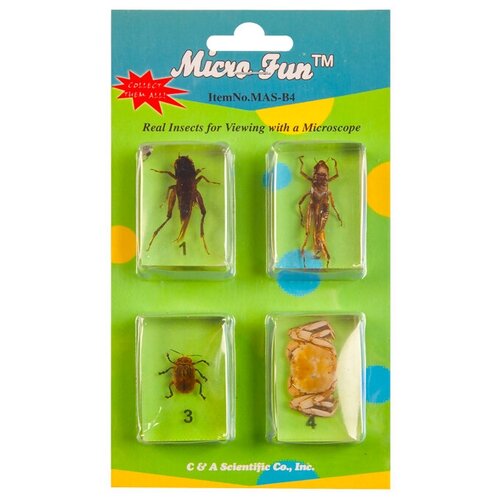 Набор микропрепаратов для стереомикроскопа (Микромир в 3d) 