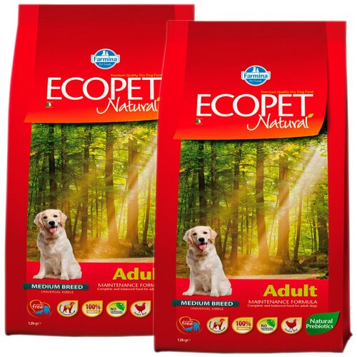 ECOPET NATURAL ADULT MEDIUM для взрослых собак средних пород с курицей (12 + 12 кг)