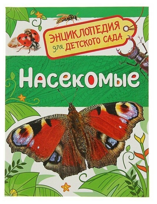 ! Росмэн Энциклопедия для детского сада "Насекомые" — купить в интернет ...