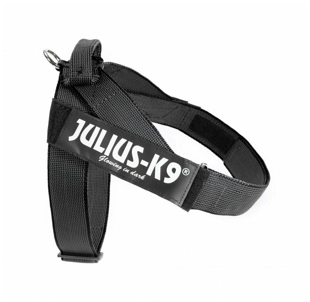 JULIUS-K9 шлейка для собак Ремни Color & Gray IDC 2 (28-40 кг) (67-97 см., Синий) - фото №2