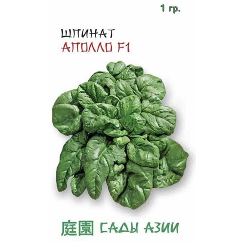 Сады азии Семена Шпинат Аполло F1 1 гр Сады Азии сады азии семена томат дракон 0 25 гр сады азии