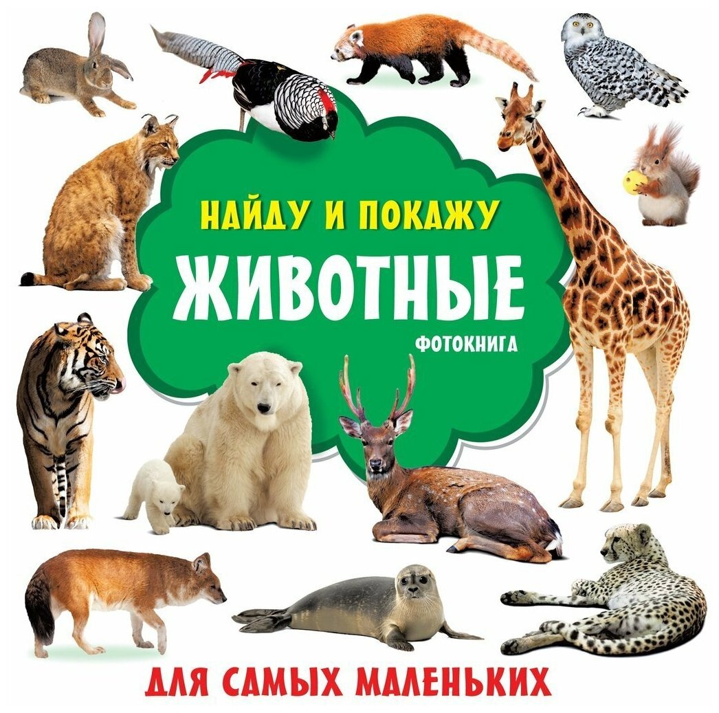 Животные Фотокнига Книга 0+