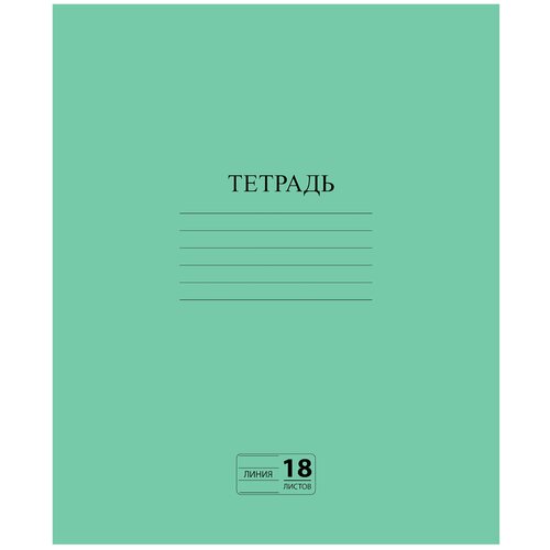 Набор 40 шт. Тетрадь зелёная обложка 18 л, линия с полями, офсет №2 эконом, «пифагор», 104987