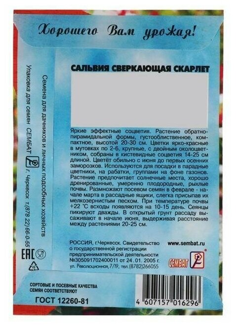 Семена цветов Сальвия сверкающая 