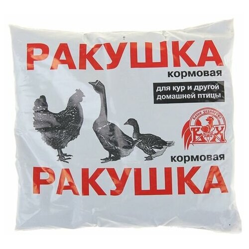 Ракушка 