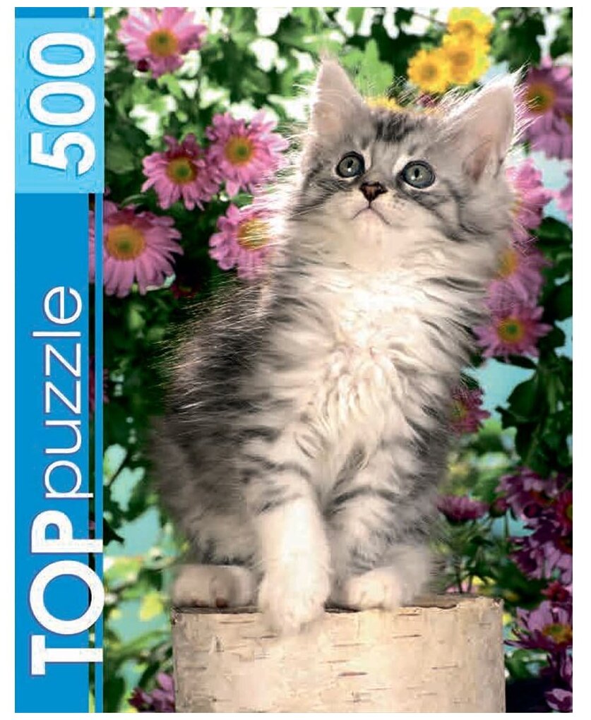 TOPpuzzle-500 "Котенок в цветах" (КБТП500-6798) Рыжий кот - фото №1