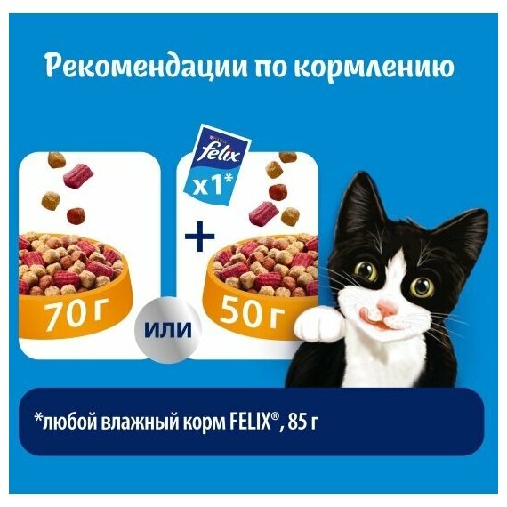 Felix Двойная вкуснятина сухой корм для кошек с птицей, Пакет, 750 г,Для взрослых кошек - фотография № 8