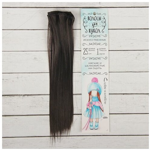 Волосы - тресс для кукол «Прямые» длина волос: 25 см, ширина:100 см, цвет № 3