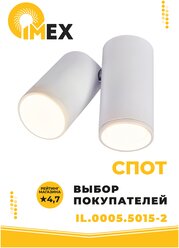Спот светильник потолочный светодиодный IMEX IL.0005.5015-2 белый