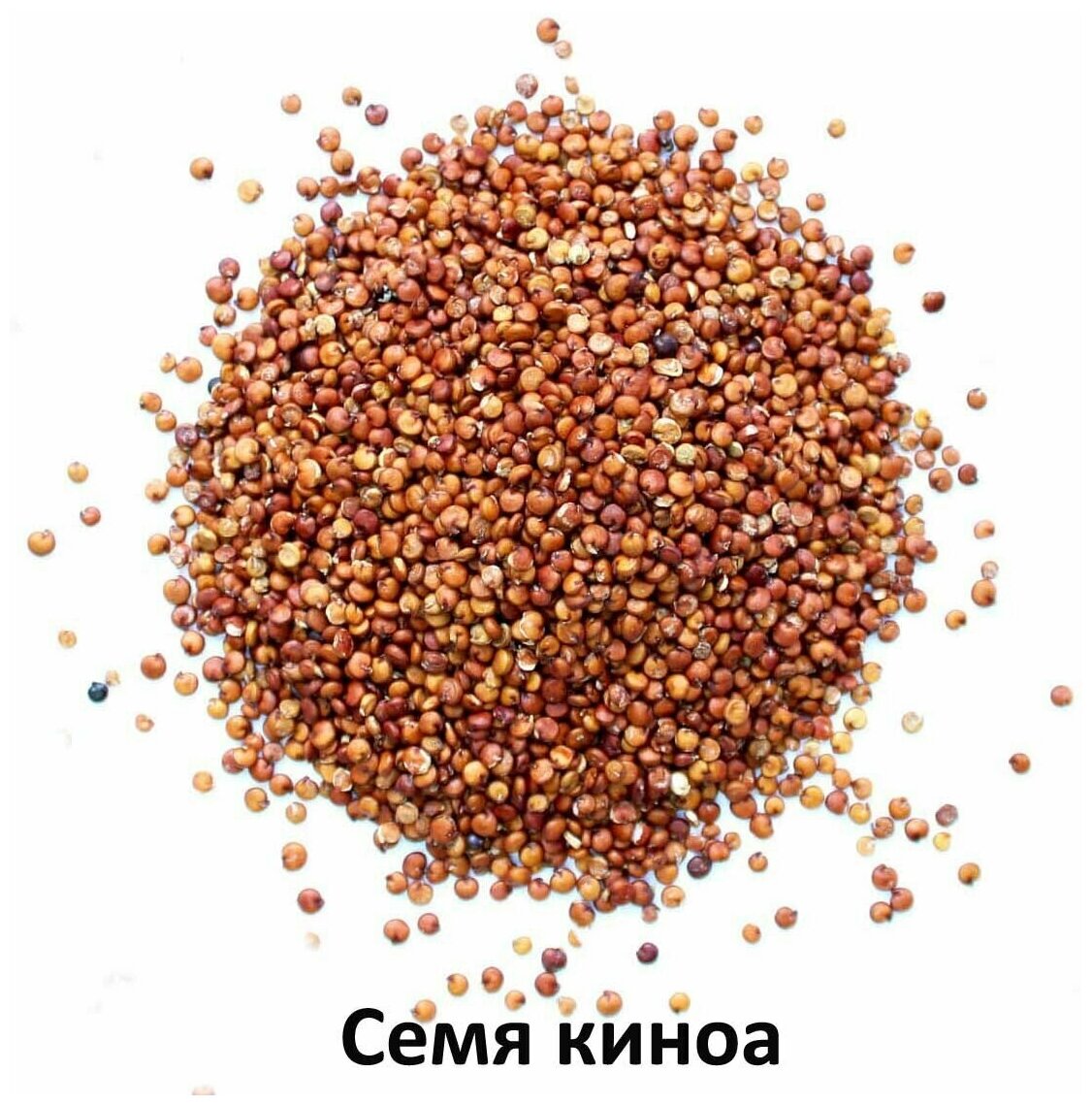 Сухой корм Farmina N&D Cat, ягненок и киноа, 1.5 кг - фото №4