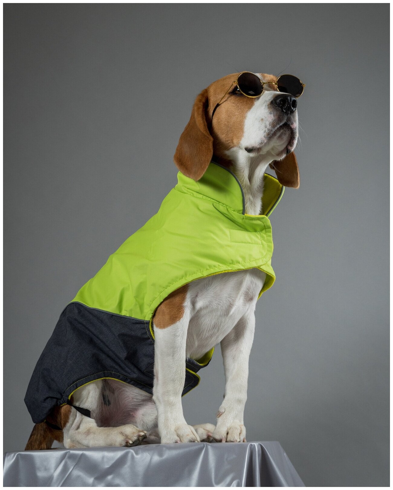 Tappi попона Блант для собак, зеленая, размер 3XL (спинка 50 см) - фотография № 4