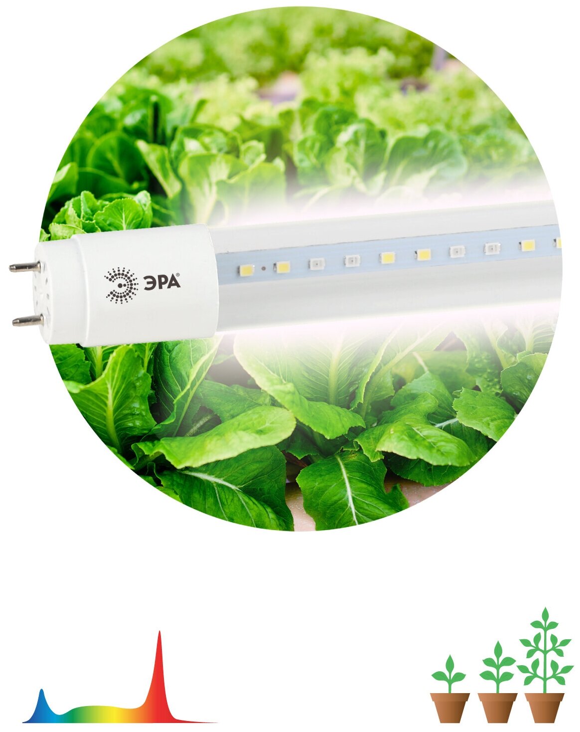 лампа светодиодная для растений ФИТО ЭРА 18Вт T8 G13 1200мм полноспектральная - фото №1