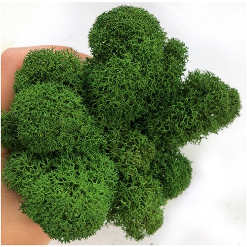 Мох стабилизированный 1 кг цвет dark green