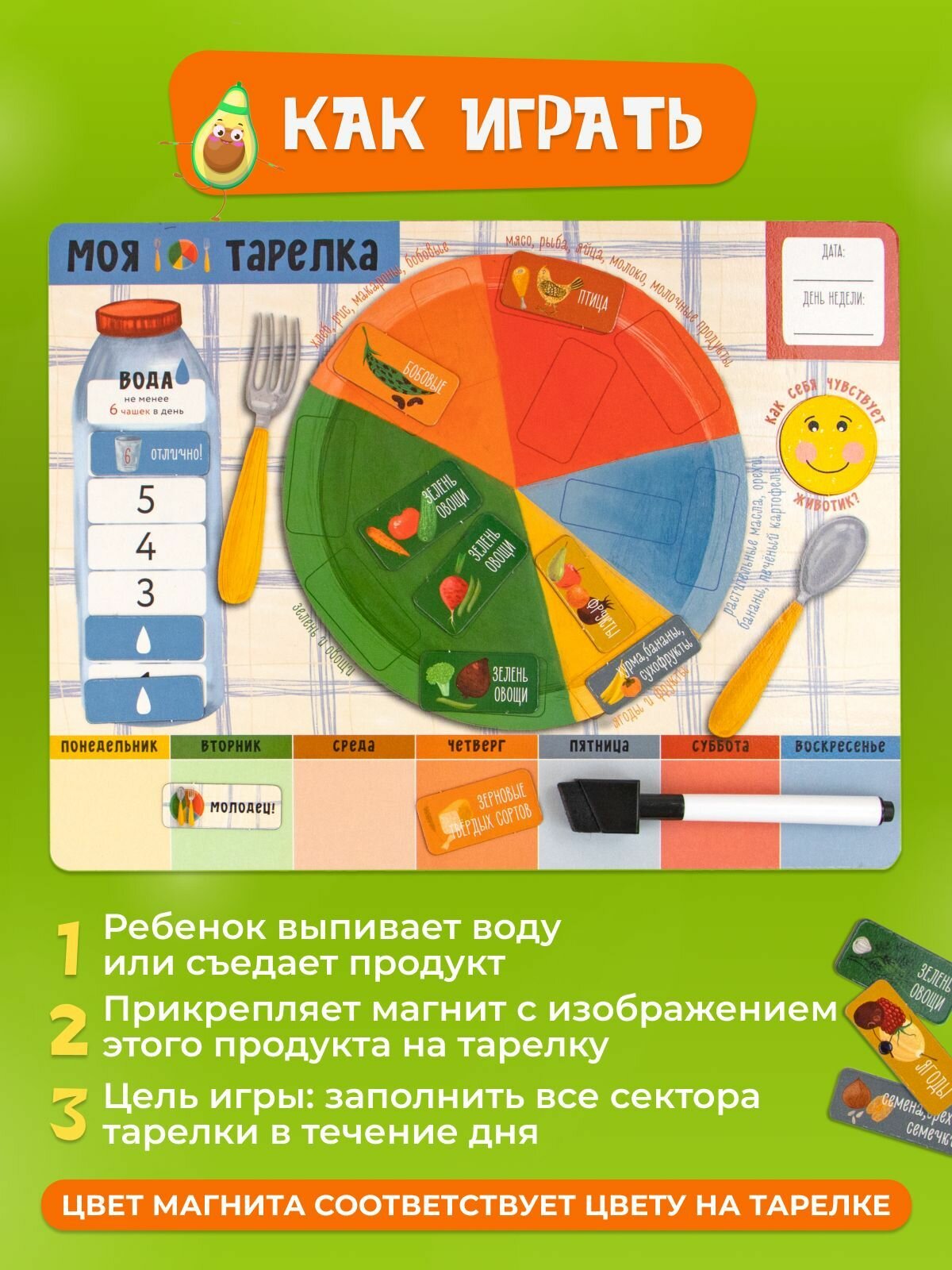Игра магнитная "Моя тарелка". Развивающая игра для детей о правильном питании. — фото 1