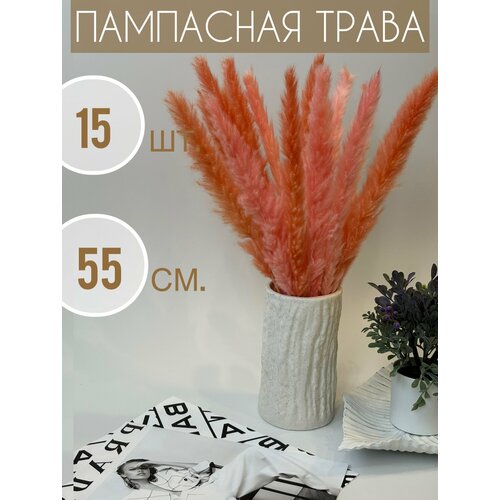 Пампасная трава розовая, 15шт, Сухоцветы для декора Family St, Букет сухоцветов 55см, 60гр