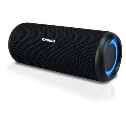 Toshiba TY-WSP201 704100₽