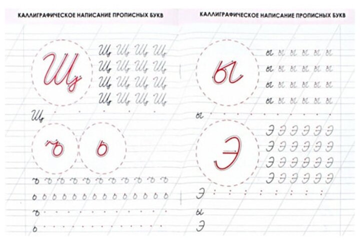 Русский язык 1 класс. Комплексный тренажер