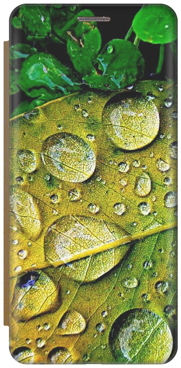 Чехол-книжка на Apple iPhone SE / 5s / 5 / Эпл Айфон 5 / 5с / СЕ с рисунком "После дождя" золотой
