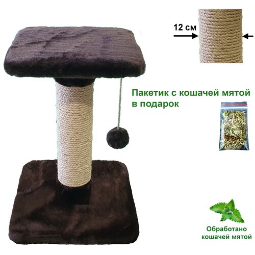 Когтеточка - столбик 