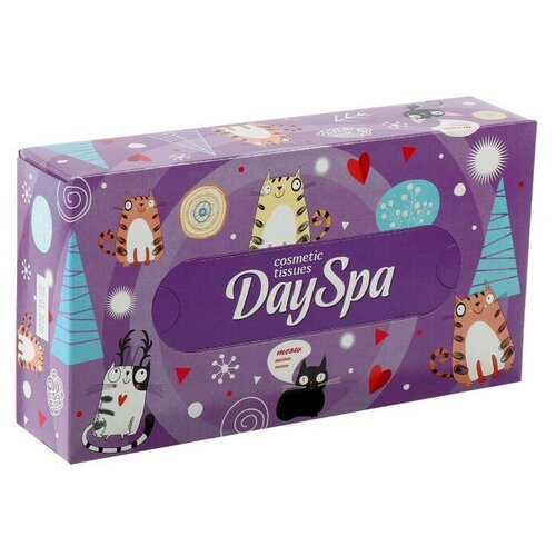 Салфетки косметические Day Spa 2-слойные 100 шт