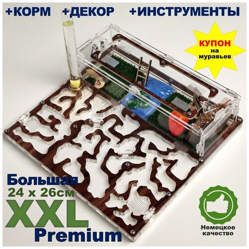 Большая муравьиная ферма XXL Premium 24*26см Полный комплект Орех
