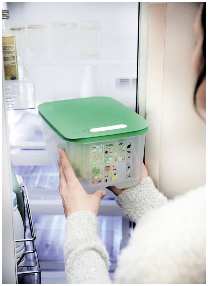 Tupperware Контейнер "Умный холодильник" 4400 мл, 19x28.5 см, прозрачный/зеленый - фотография № 4