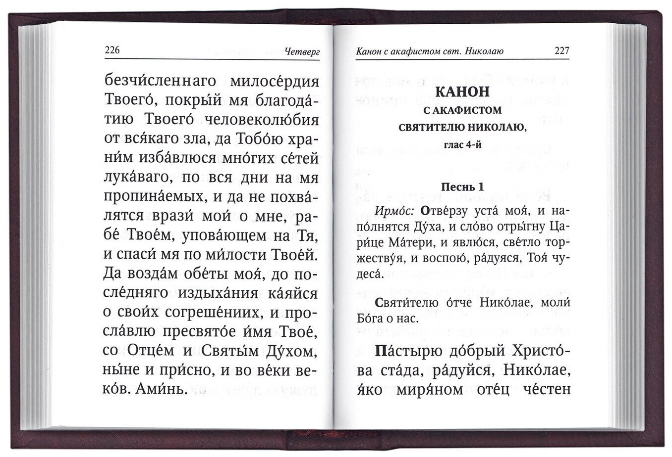 Каноны и акафисты на каждый день седмицы - фото №3