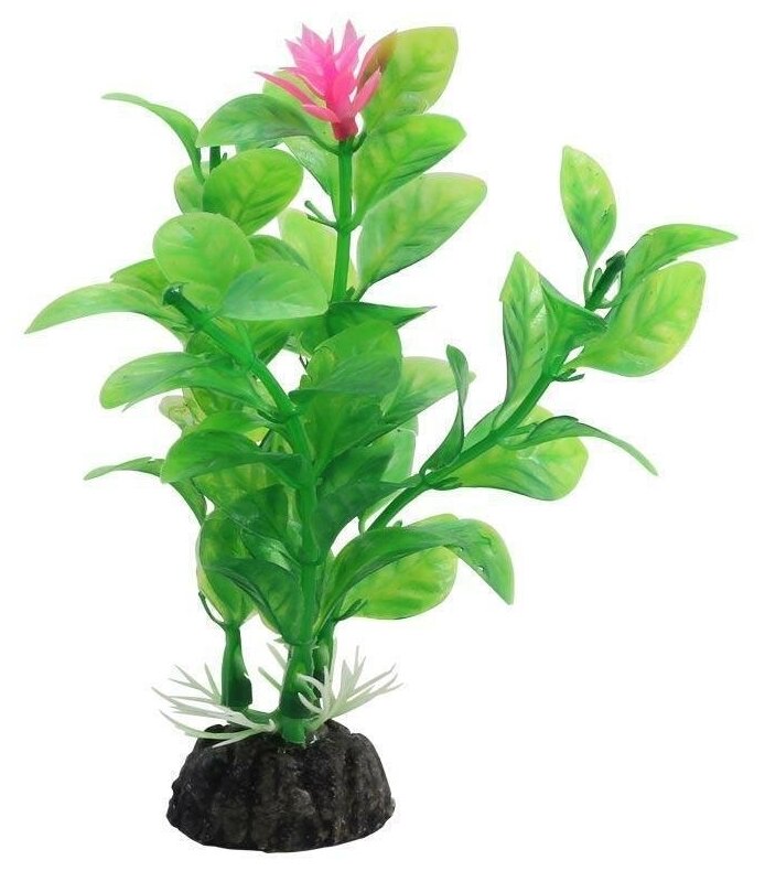 LD1039 Растение аквариумное Незея 100мм цветущая