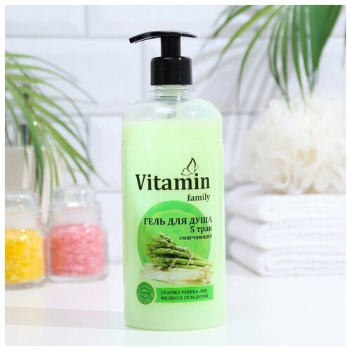 Vitamin Family Гель для душа VITAMIN Family 