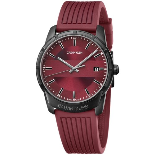 Швейцарские наручные часы Calvin Klein K8R114UP