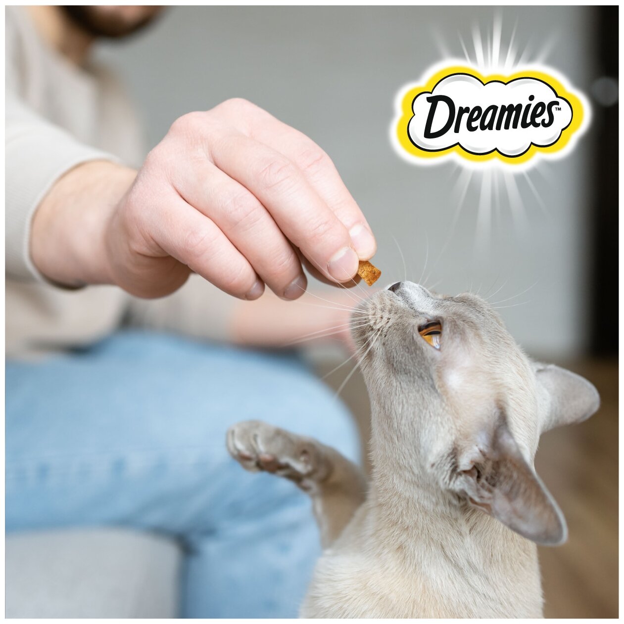 Лакомство для кошек  Dreamies Аппетитное трио, 360 г (шоу бокс) ассорти