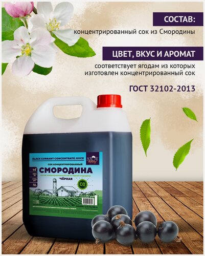 Изображение товара Концентрированный сок Черной смородины 5 кг.
