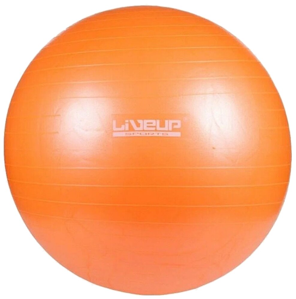 Фитбол "Liveup", с насосом, диаметр 65 см. LS3222-65o